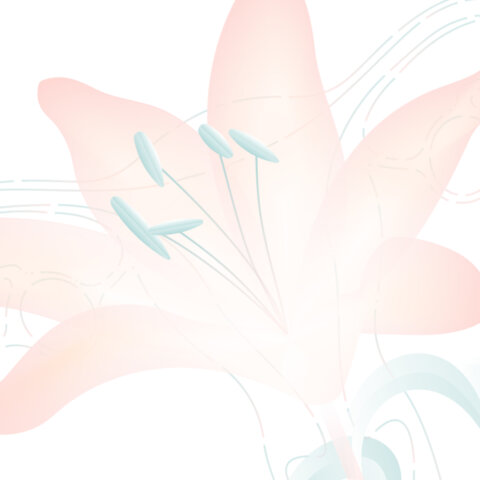ESMO Gynaecological Cancers Congress 2026