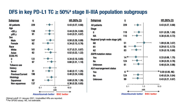 Abstract 80O_ELCC 2022