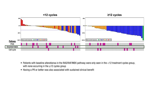 Abstract 3O_ELCC 2023