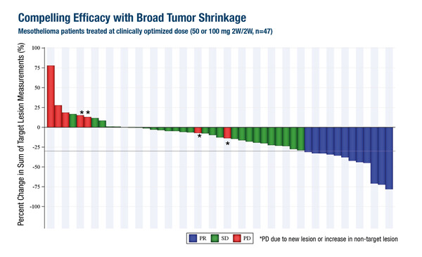 Curioni-Fontecedro_9200_slide 9
