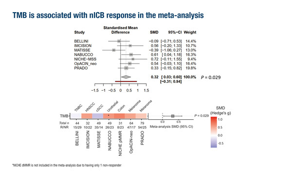 Michielin_1120_Slide 7