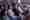 Gynae25_Audience_01