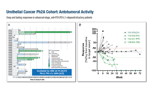 ESMO-Immuno-Oncology-2023_1180_Svane