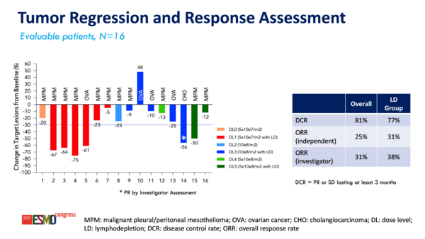 Abstract 959O_Tumour regression and response assessment with gavo-cel treatment in mesothelin-expressing solid tumours