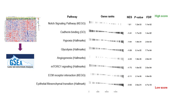 Abstract 28MO_SARC 2023