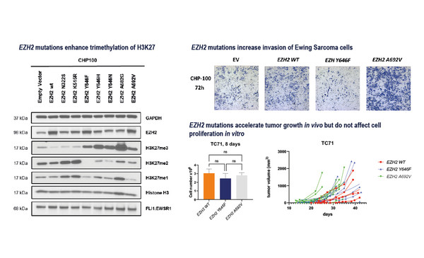 Abstract 47MO_SARC 2023